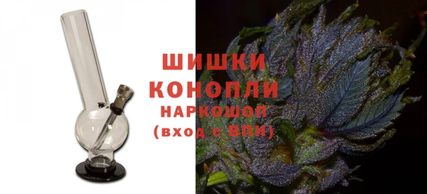 шишки Бронницы