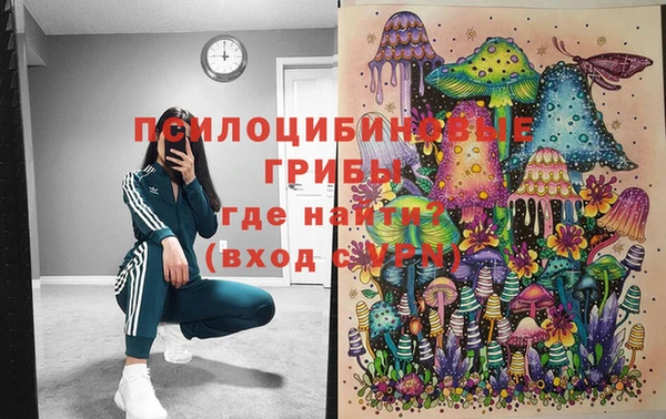 а пвп мука Бородино