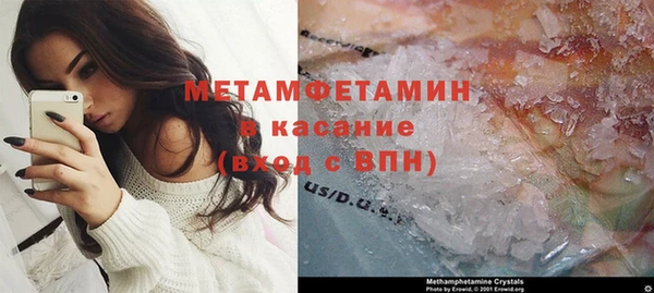 шишки Бронницы